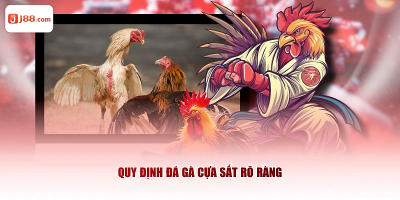Quy định đá gà cựa sắt rõ ràng